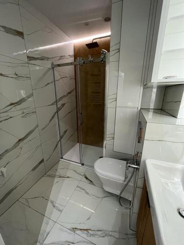 a bathroom with a shower and a toilet and a sink at Apartament Olimpia in Lębork