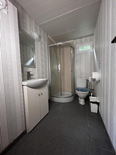 a bathroom with a shower and a sink and a toilet at Camping 2000 - Glamourtent in Osečná