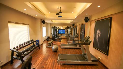 a gym with several rows of exercise equipment in a room at Park Plaza Jalandhar in Jalandhar