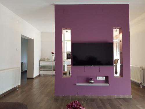 TV a/nebo společenská místnost v ubytování Apartments Tereza