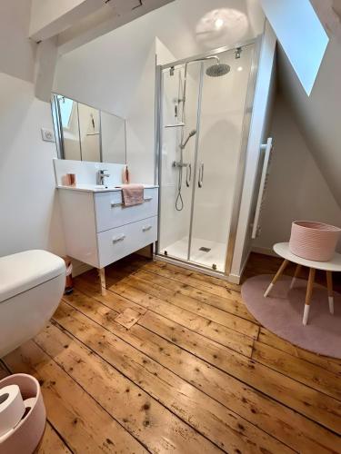 une salle de bain avec douche et toilettes dans l'établissement La Maison Du Phare, à Plérin