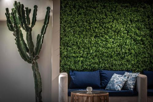 a green wall with a blue couch and a cactus at Enorme Serenity Spritz - Adults Only in Hersonissos