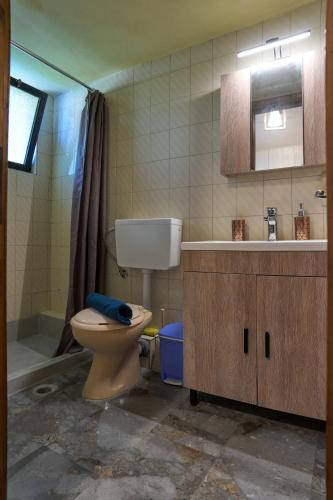a bathroom with a toilet and a sink at Elysee Seaview Apartments in Sidari