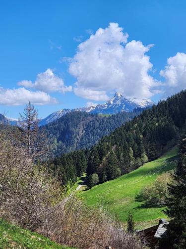 a green field with snow capped mountains in the background at 2-bed appt 20 mins from Morzine Portes du Soleil French Alps in La Baume