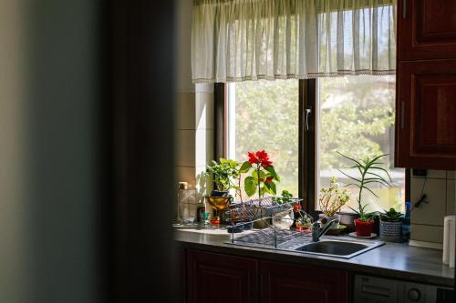 a kitchen counter with a sink and a window at Pensiunea Tania-Nora in Alexandru cel Bun 