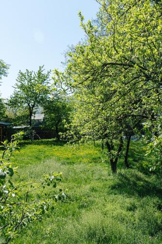 a field of grass with trees in the background at Pensiunea Tania-Nora in Alexandru cel Bun 