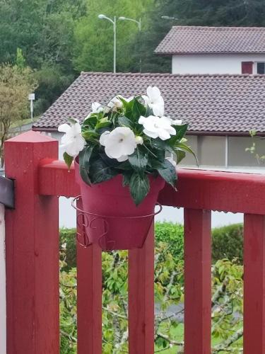 un pot de fleurs sur une clôture rouge dans l'établissement Location de charme T3 au 2e étage et dernier étage, à Cambo-les-Bains