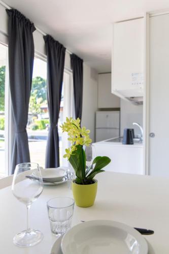a white kitchen with a table with glasses and a plant at Camping Rose in Dormelletto