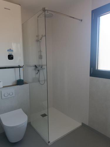 une salle de bain avec douche et toilettes dans l'établissement Maison studio de jardin, à Naucelles