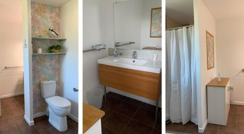 - deux photos d'une salle de bains avec toilettes et lavabo dans l'établissement Gite du Corps de Garde - Bord de Mer Normandie, à Saint-Germain-sur-Ay