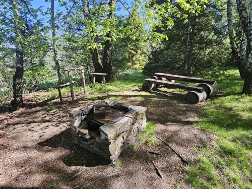 a pile of logs and a fire pit in a forest at chata Oáza klidu v Beskydech in Hrádek