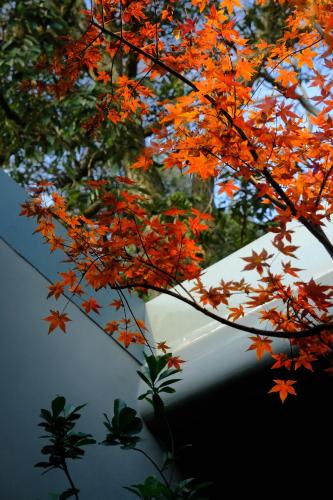 Κήπος έξω από το Hangzhou KeYe Homestay