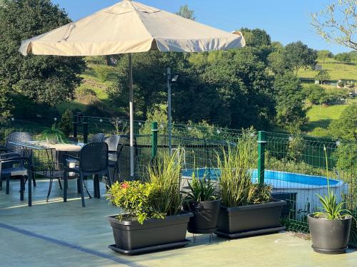 a patio with a table with an umbrella and plants at Oviedo Real Spa in Oviedo