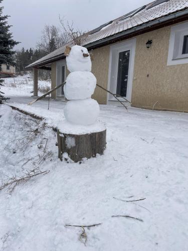 a snowman sitting on top of a tree stump at Gîte Belle Vue 2 in Saint-Léger-les-Mélèzes