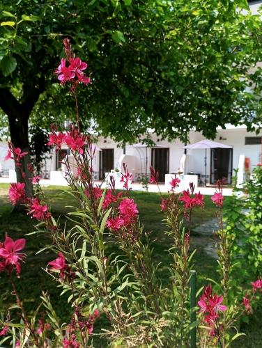 Zahrada ubytování Achillion b&b