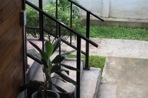 a stair case with a plant next to a door at Mahaon surf hotel in Weligama