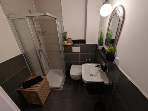 un bagno con doccia, WC e lavandino di Charmante Ferienwohnung am Paderquellgebiet in Paderborn a Paderborn