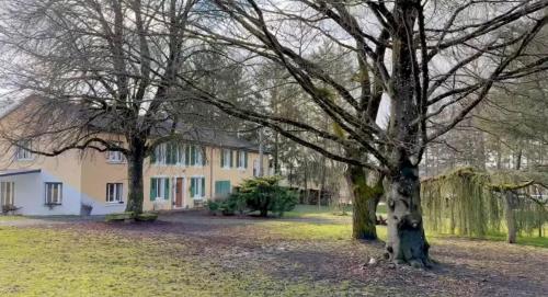 un groupe d'arbres devant un bâtiment dans l'établissement La chambre clé de la forêt, à Métairies-Saint-Quirin