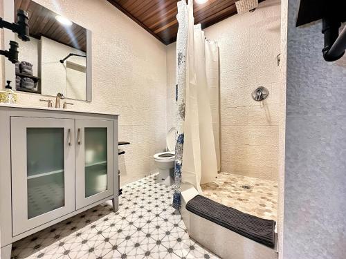 ein Badezimmer mit Dusche und Toilette in der Unterkunft The Lofts At Santurce in San Juan