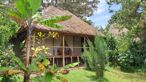 a small house with a thatch roof at Sharp Island Gorilla Lodge, Lake Bunyonyi in Kashasha