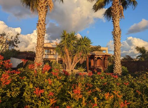 a garden with palm trees and flowers in front of a building at Villa Pontus - stunning views & privacy in beautiful garden with pool & hot tub in Kouklia
