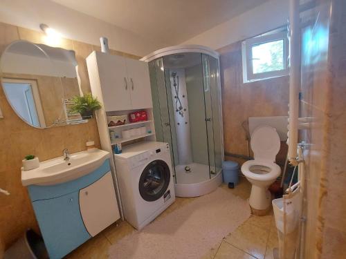 a bathroom with a washing machine and a washer at Casa din Padure Valea Doftanei in Trăisteni