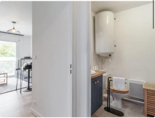 - une cuisine avec un lavabo et des toilettes dans la chambre dans l'établissement Appartement t2 pour 4 avec parking, à Tasdon