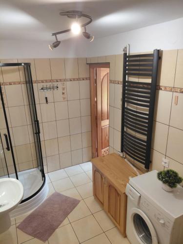 łazienka z pralką i umywalką w obiekcie Apartament Na Rozdrożu w Cisnej