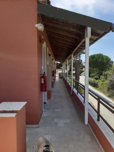 a dog is laying on the side of a building at ILENIMA Hotels in Agios Stefanos