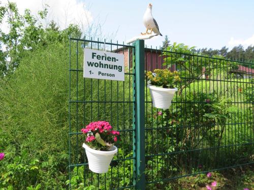 Fotografie z fotogalerie ubytování Kölp - Block`s Ferienwohnung v destinaci Kölpinsee