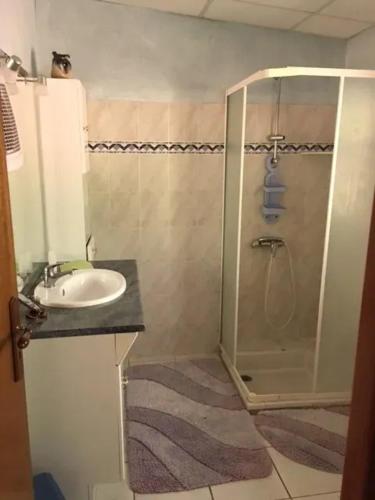 une salle de bain avec douche et lavabo dans l'établissement Chalet familial à Laurède avec piscine partagée, à Laurède