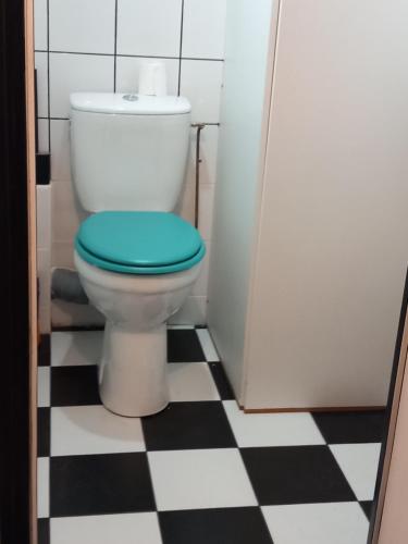 a bathroom with a toilet with a blue seat at l'Hirondelle de la Ruelle in Noyers-sur-Serein