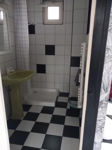 a bathroom with a green sink and a toilet and a sink at l'Hirondelle de la Ruelle in Noyers-sur-Serein