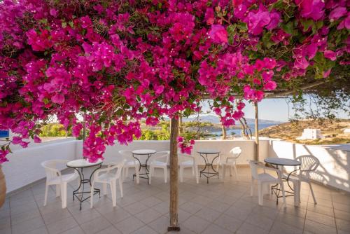 Gallery image of Anna's Place in Iraklia