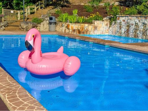 a pink inflatable pink swan in a swimming pool at Treetop 3bd3badeckpoolsgrilldock-sleeps 8pp in Four Seasons