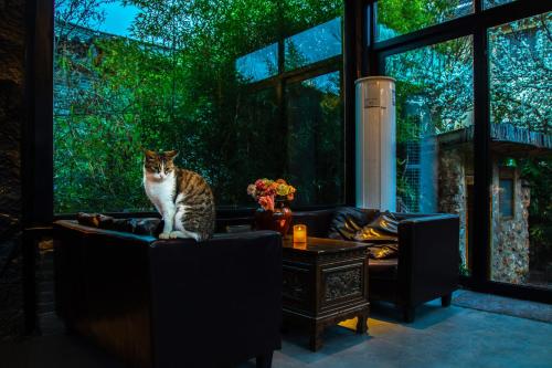 a cat sitting on a chair in a living room at 阅时 Adonis野生派 Black Bar 森林大院民宿 in Lijiang