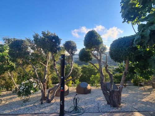 Κήπος έξω από το Sunset Paradise Villa Stroumpi