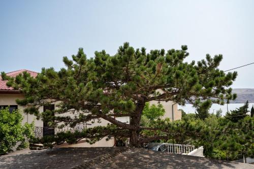 Φυσικό τοπίο κοντά σε αυτό το διαμέρισμα