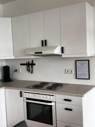 Η κουζίνα ή μικρή κουζίνα στο Cozy central apartment