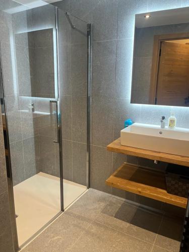une salle de bain avec douche et lavabo dans l'établissement Megeve Praz sur Arly Apparthotel eclat des veriaz Studio vue sur jardin, à Megève