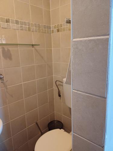 a small bathroom with a toilet and a shower at Orchard Guesthouse in Bloemfontein