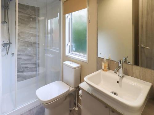 a bathroom with a toilet and a sink and a shower at Glenridding Lodge in Windermere