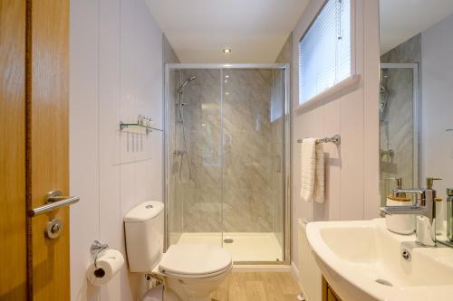 a bathroom with a shower and a toilet and a sink at Woolverstone Marina and Lodge Park in Ipswich