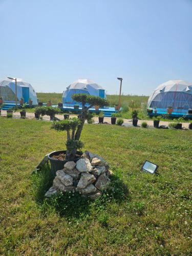 En have udenfor Mar a Lago Glamping23