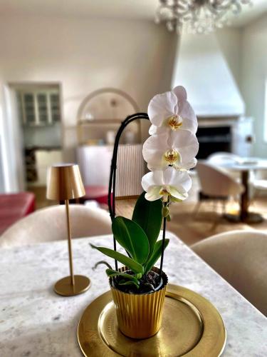 a vase of white flowers on a table at Villa Chloé in Montecalvo Versiggia