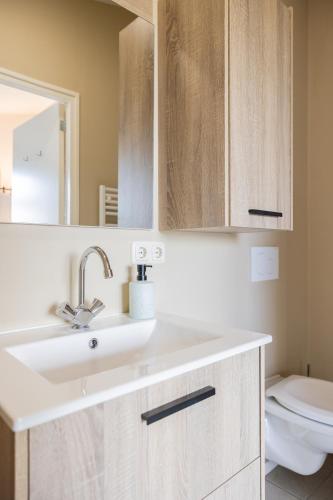 a bathroom with a sink and a toilet at Bed & Breakfast de Lindevallei in Oldeberkoop