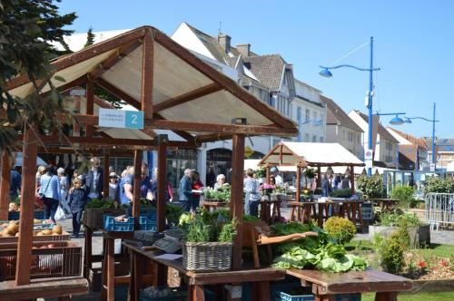 Hosté ubytování Chez Alice, à 50m à pieds de la mer à Hardelot-Plage