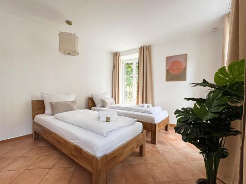 a room with two beds and a potted plant at ma suite - city sol apartment - centrum - private parking in Augsburg