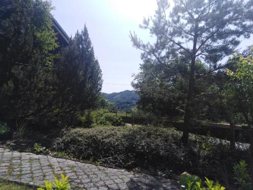 a garden with a tree and a sidewalk at Chata Pod Kapličkou in Rajnochovice