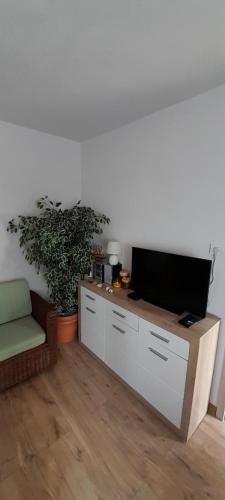 Televízia a/alebo spoločenská miestnosť v ubytovaní Apartman sunny green